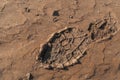 Footprint of a workboot in the mud after work Royalty Free Stock Photo