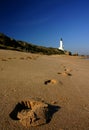 Footprints Royalty Free Stock Photo