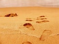 Footprints Royalty Free Stock Photo