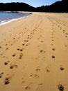 Footprints Royalty Free Stock Photo