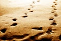 Footprints