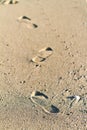 Footprints across wet beach sand Royalty Free Stock Photo