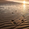 The footprints add depth, emphasizing the natural undulations Royalty Free Stock Photo