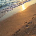 Footprints of an adult man and child on the sand on the beach at sunset Royalty Free Stock Photo