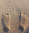 Footprints. In the afternoon on a beach someone puts feet on the sand Royalty Free Stock Photo