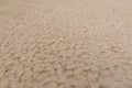 Footprints along the sand of a deserted seashore beach Royalty Free Stock Photo