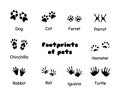 Footprints of animals. Royalty Free Stock Photo