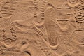Footprints in Arabian Sand