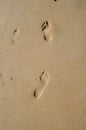 Footprints of an adult and a child on wet sea sand