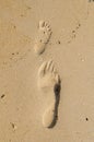 Footprints of an adult and a child on wet sea sand