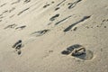 Footprints of bare feet on a sandy seashore filmed on a sunny summer day