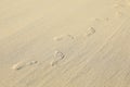 Footprints in sand on beach Royalty Free Stock Photo