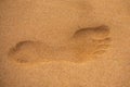 Footprints barefoot in the desert sand. Foot print in the sandy beach, close up.
