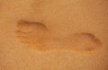 Footprints barefoot in the desert sand. Foot print in the sandy beach, close up.