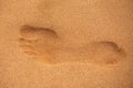 Footprints barefoot in the desert sand. Foot print in the sandy beach, close up.