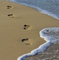 Footprints at the beach