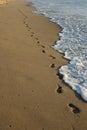 Footprints on the beach