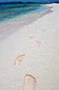 Footprints on the Beach Royalty Free Stock Photo