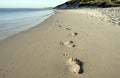 Footprints at the beach Royalty Free Stock Photo