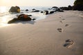 Footprints on the beach Royalty Free Stock Photo