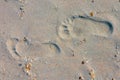 Footprints on the beach dune sand as a background Royalty Free Stock Photo