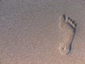 Footprints at the beach .