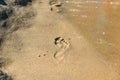 Footprints at the beach Royalty Free Stock Photo