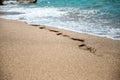 Beautiful image of footprints in the sand