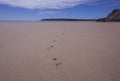 Footprints on the beach Royalty Free Stock Photo