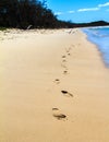 Footprints on the Beach Royalty Free Stock Photo