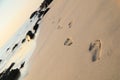 Footprints on the beach Royalty Free Stock Photo