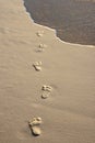 Footprints on beach sand Royalty Free Stock Photo
