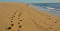 Footprints on the beach sand back and forth, with two people walking back Royalty Free Stock Photo