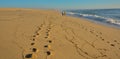 Footprints on the beach sand back and forth, with two people walking back Royalty Free Stock Photo