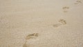 Footprints on the beach sand, Surface of human footmarks on smooth sand at the seaside, In summer, Texture background.