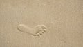 Footprints on the beach sand, Surface of human footmarks on smooth sand at the seaside, In summer, Texture background.