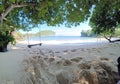 footprints on the beach sand, under shady trees with wooden swings and ropes, even the clear sky above the sea water Royalty Free Stock Photo