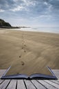 Footprints on beach Summer sunset landscape conceptual book image