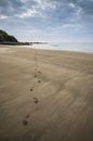 Footprints on beach Summer sunset landscape