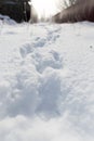 Footprints of the beast on the snow in winter