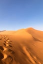 Footprints, Big Daddy Dune, Sossusvlei, Namib-Naukluft National Park, Namibia. Royalty Free Stock Photo