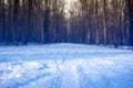 Footprints tires prints snow macro forest blue