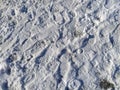 Footprints of boots in the snow. Lots of human footprints on fresh white crust.