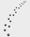 Footprints of cat