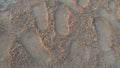 Footprints on clay soil