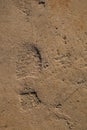 Footprints in concrete