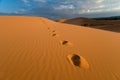 Footprints, Coral Pink Sand Dunes