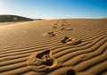 Footprints create a trail across a desert dune, with the sun casting shadows across the sand. The Royalty Free Stock Photo