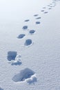 Footprints in deep snow, leaving boot prints in fresh white snow in winter