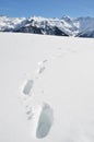 Footprints in the deep snow Royalty Free Stock Photo